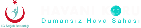 Dumansız Hava Sahası